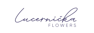 Lucernička Flowers